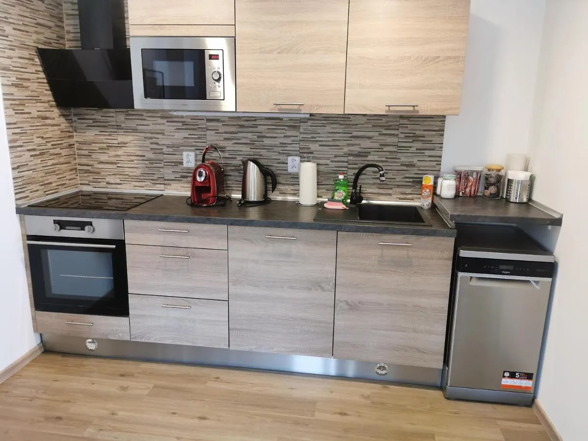 Apartment Apartmany Svitkov 79 Pardubice